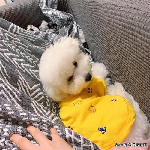 20221111190414_83181