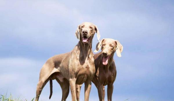 20221111190626_17436