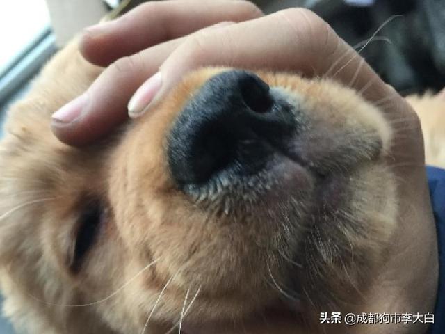 20221111190841_14892 20221111190841_14892