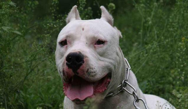 20221111200952_14474 20221111200952_14474