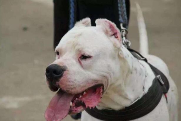 20221111200952_35680