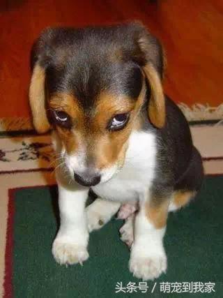 20221111205313_72674 20221111205313_72674