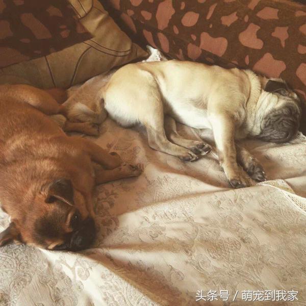 20221111205313_79802 20221111205313_79802