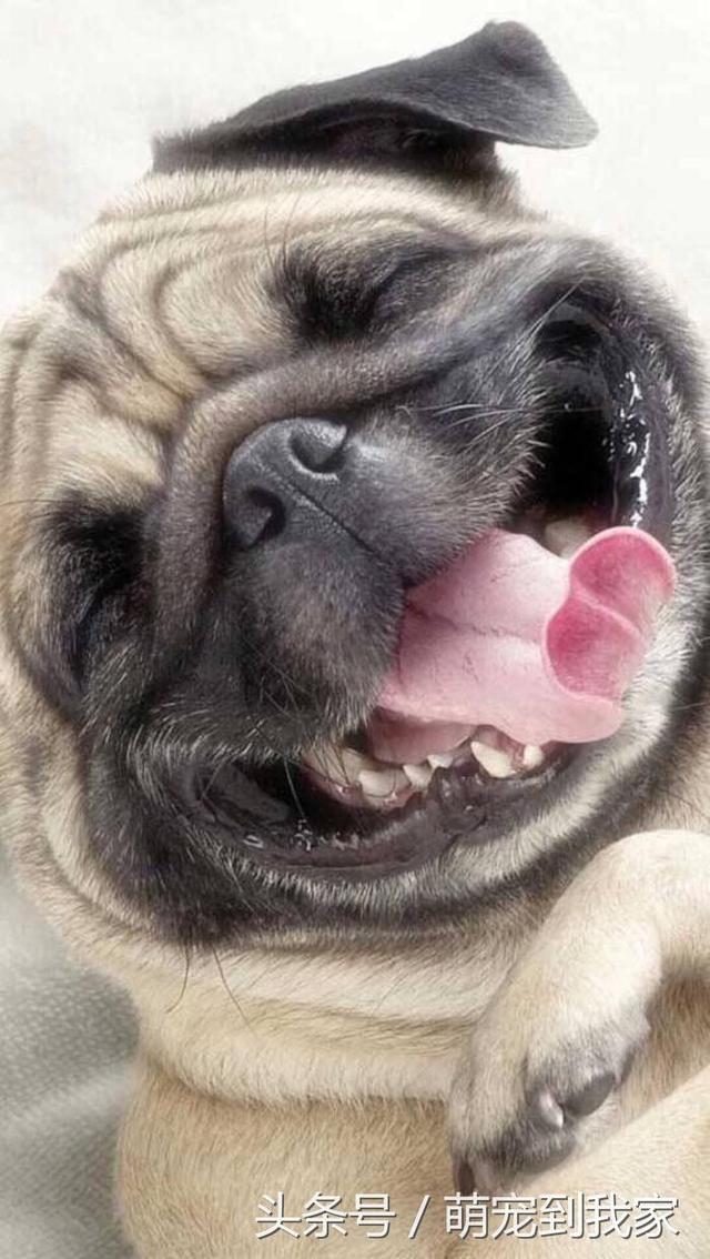 20221111205314_65885 20221111205314_65885