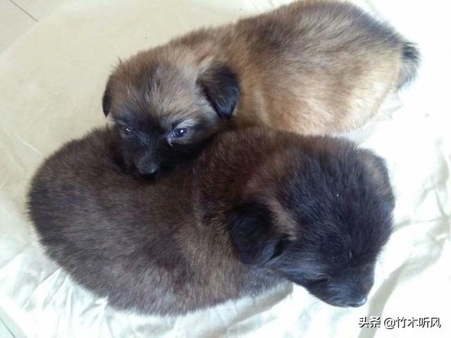 20221111211710_29529