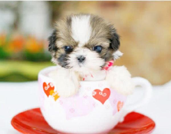 20221111212712_76286