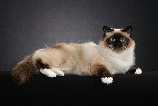 20221111212805_80536 20221111212805_80536