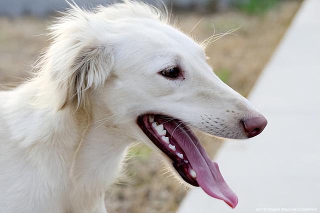 20221111213916_45586 20221111213916_45586