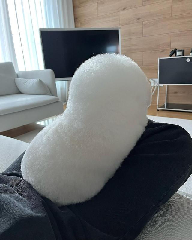 巴比熊犬  比熊狗狗 ***-警犬训练器材厂家 _警犬训练用品_工作犬训练用品-南京开久警犬装备