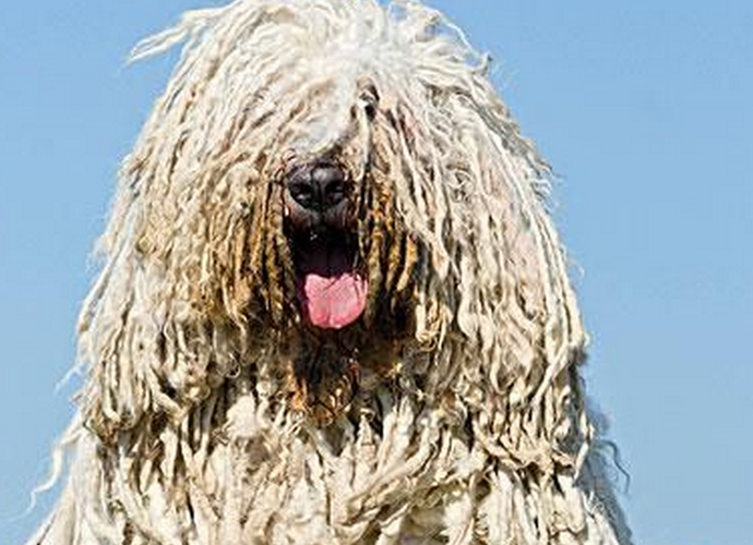 20221112095701_95801 20221112095701_95801