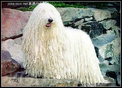 20221112095702_26584 20221112095702_26584