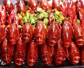 20221112113101_23570