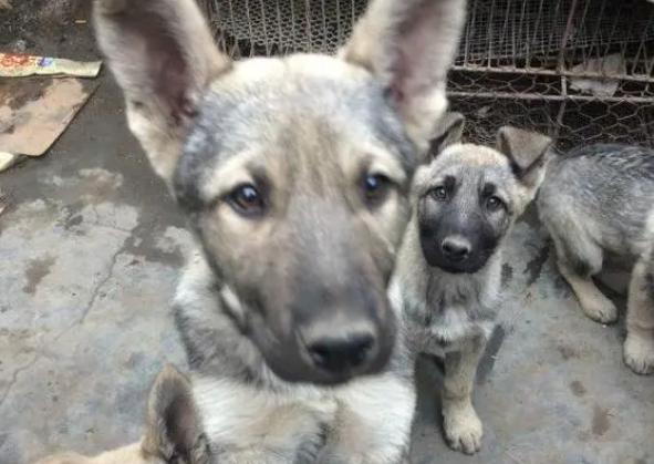 20221112121705_93441