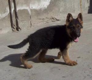 20221112121706_16246