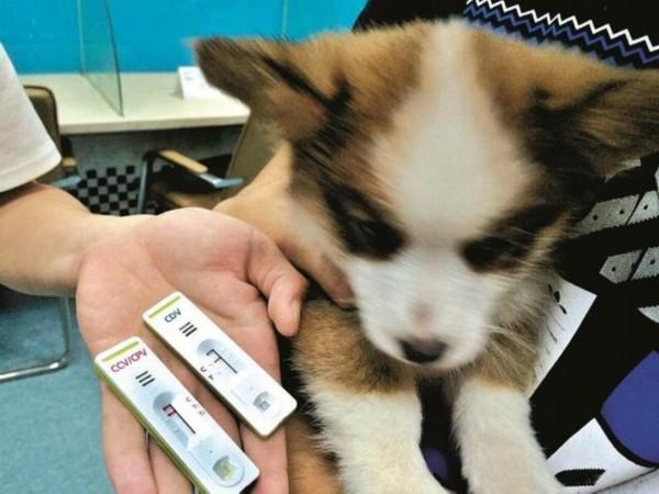 20221112124031_20729 20221112124031_20729