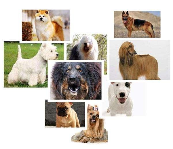 20221112125203_12450 20221112125203_12450