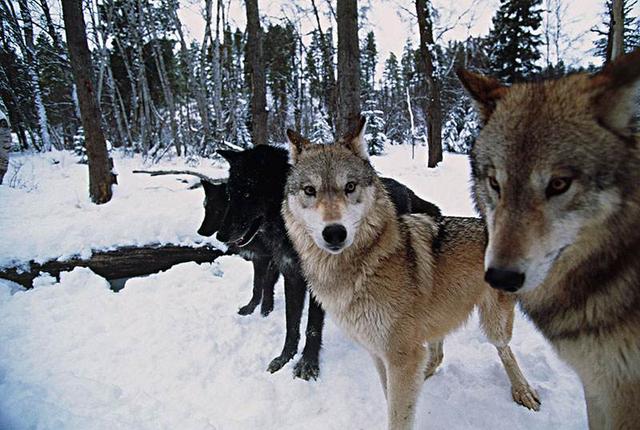 20221112125204_87063 20221112125204_87063