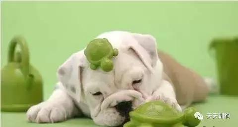 20221112145214_22085 20221112145214_22085