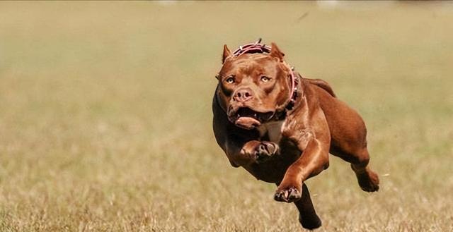 20221112154543_26154 20221112154543_26154