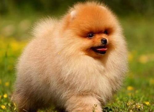 20221112160023_26828 20221112160023_26828