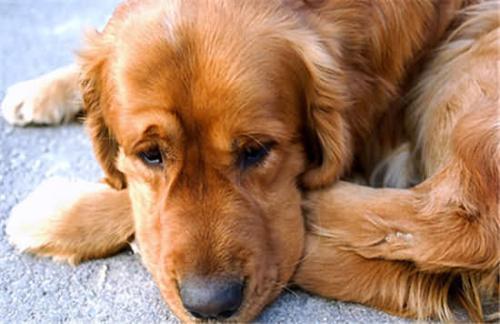 20221112161906_33314