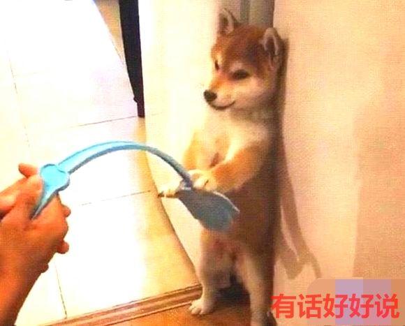 20221112163337_15274 20221112163337_15274