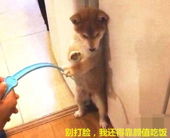 20221112163337_18600 20221112163337_18600