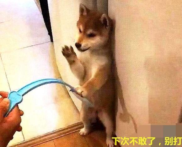 20221112163337_78308 20221112163337_78308