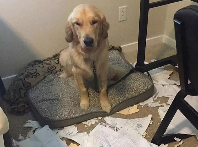 20221112163639_75203