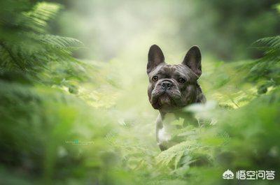 20221112184124_38780