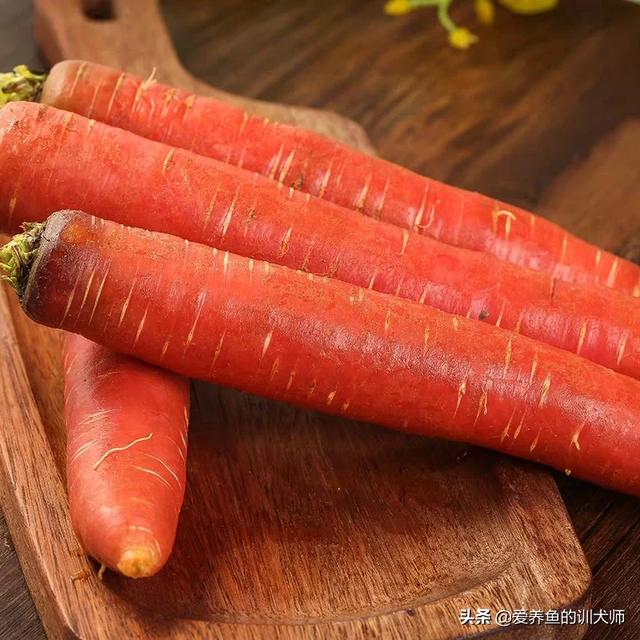 狗狗吃什么亮毛发(狗狗毛发干枯无光泽吃什么)-警犬训练器材厂家 _警犬训练用品_工作犬训练用品-南京开久警犬装备