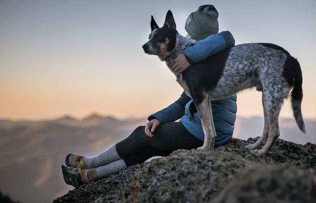 20221112190657_14226