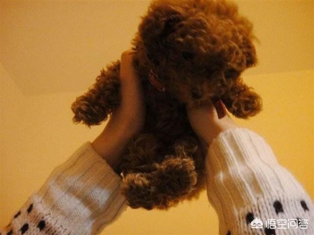 20221112191737_66875