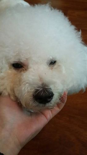 20221112213902_93888