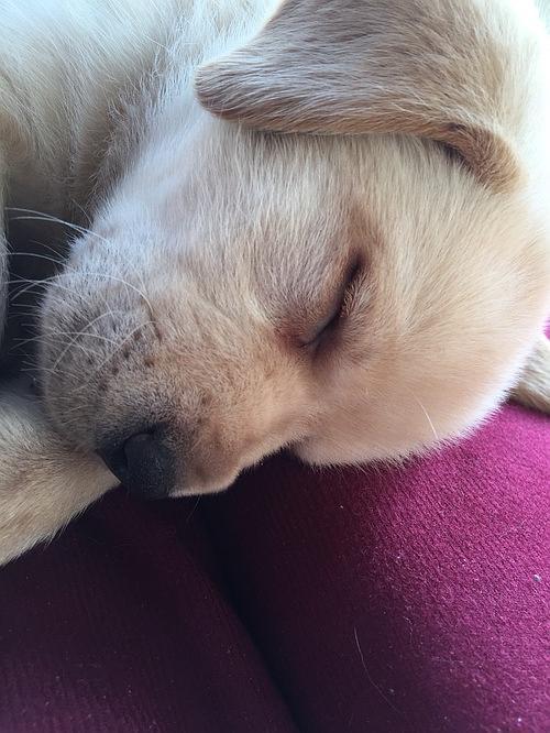 20221112213903_67150