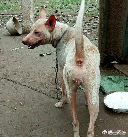 20221112220111_88545