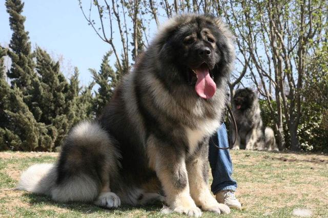 20221112222108_91195 20221112222108_91195