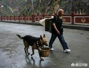 20221113092107_25673