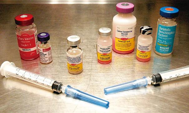 20221113104918_73460 20221113104918_73460