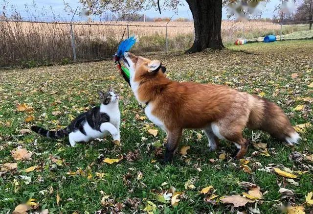 20221113113421_93224