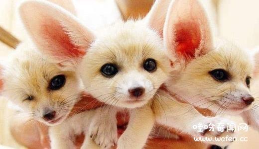 20221113113422_61578