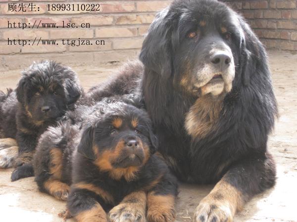 20221113120946_21100