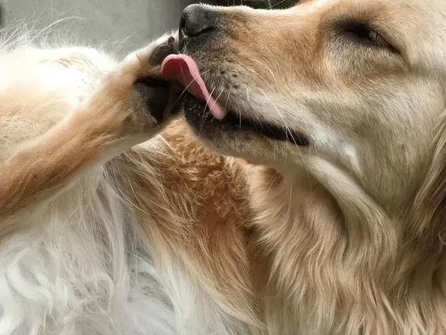 20221113123146_88775