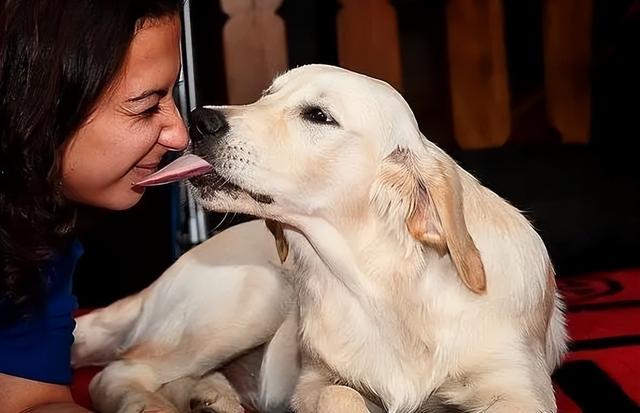 20221113123147_19136 20221113123147_19136