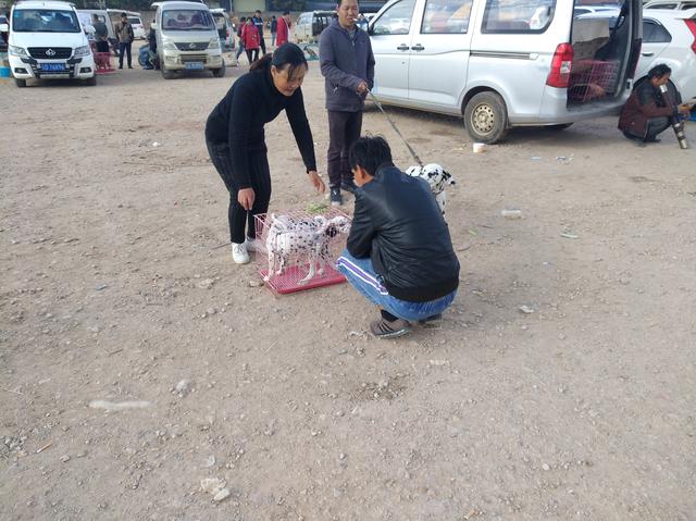 20221113140407_10438 20221113140407_10438