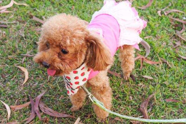 20221113150848_33512 20221113150848_33512