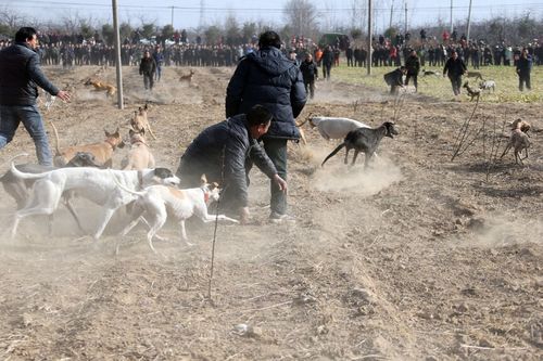 20221113152505_78002