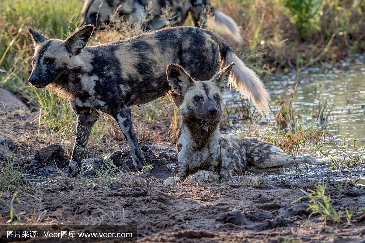 20221113152609_36832 20221113152609_36832