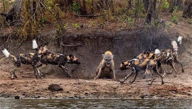 20221113152610_22210 20221113152610_22210