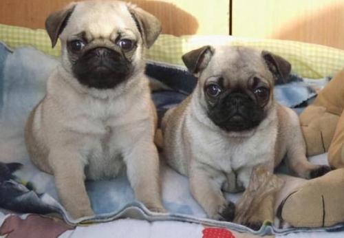 20221113155748_59376 20221113155748_59376